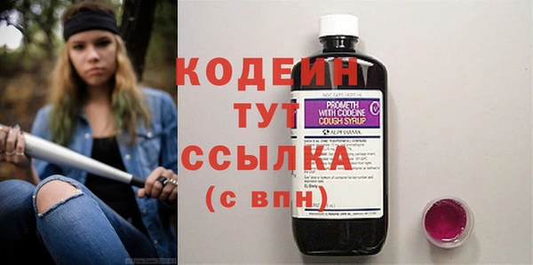 молекула духа Касимов