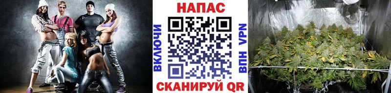 Шишки марихуана сатива  купить   Среднеколымск 